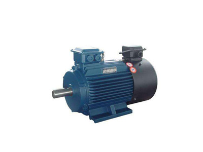 Ytsp series variable frequency adjustable speed three phase asynchronous motor