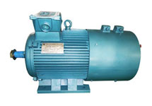 YZB series variable frequency adjustable speed three phase asynchronous motor