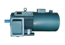 Ytsz series three phase asynchronous motor